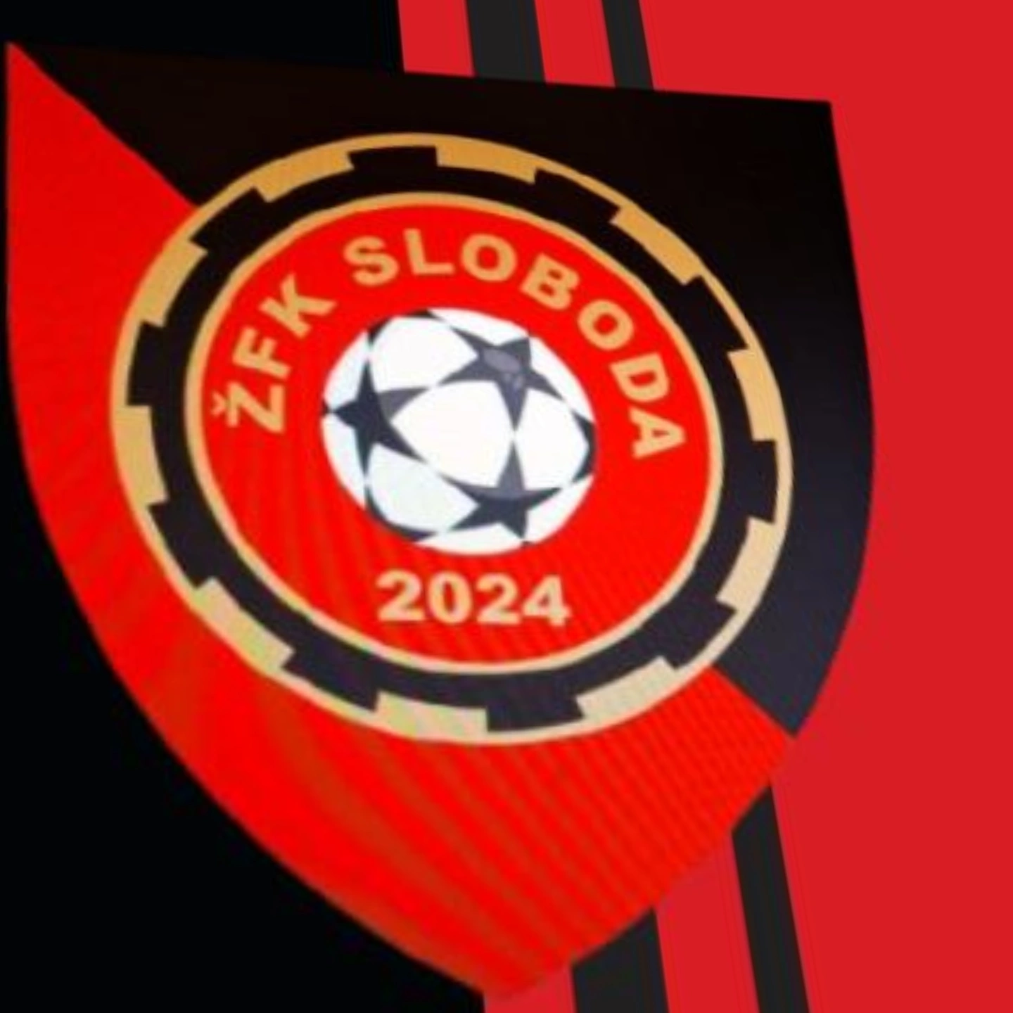 ŽFK Sloboda 2024 Tuzla Banner